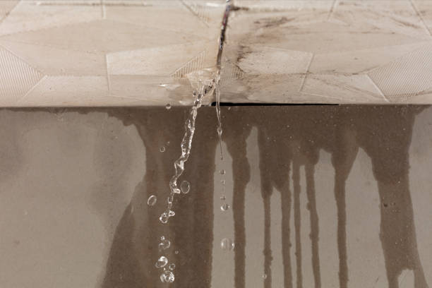 Professional Water Damage Inspection technician working in Mason, TX